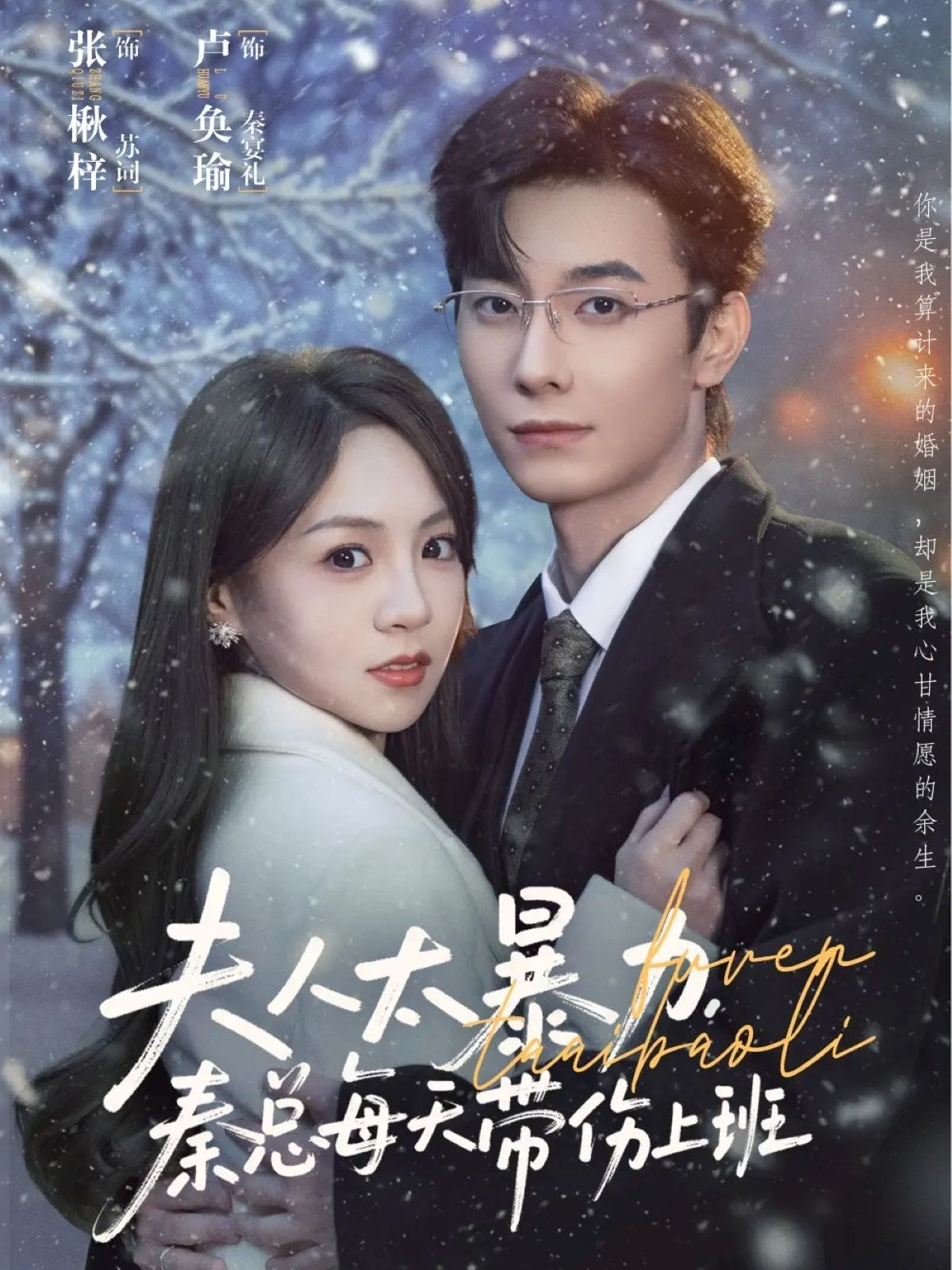 夫人太暴力，秦总每天带伤上班