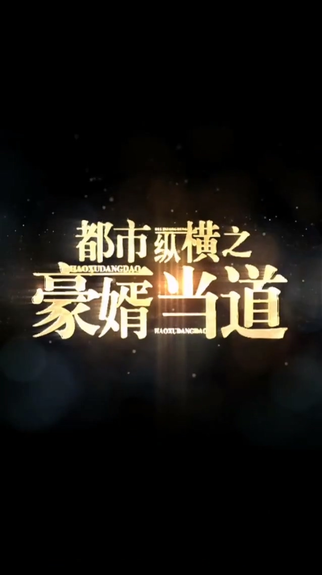 都市纵横之豪婿当道 封面