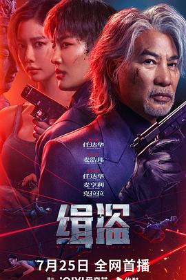 缉盗2025封面图