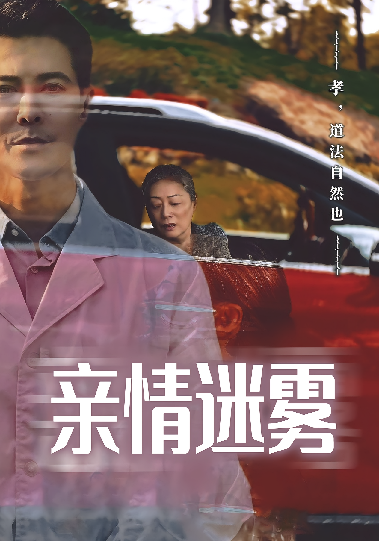 亲情迷雾封面图