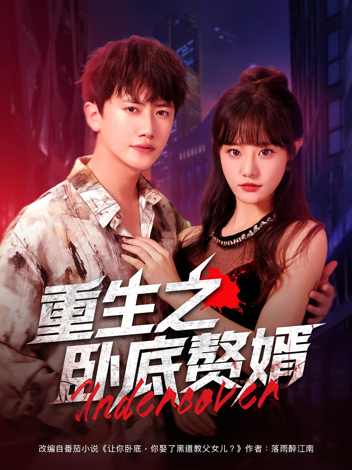 重生之卧底赘婿剧照