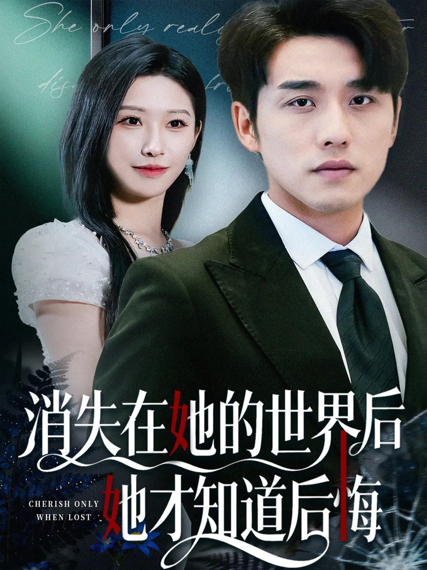 消失在她的世界后她才知道后悔