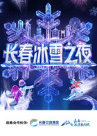 长春冰雪之夜封面图