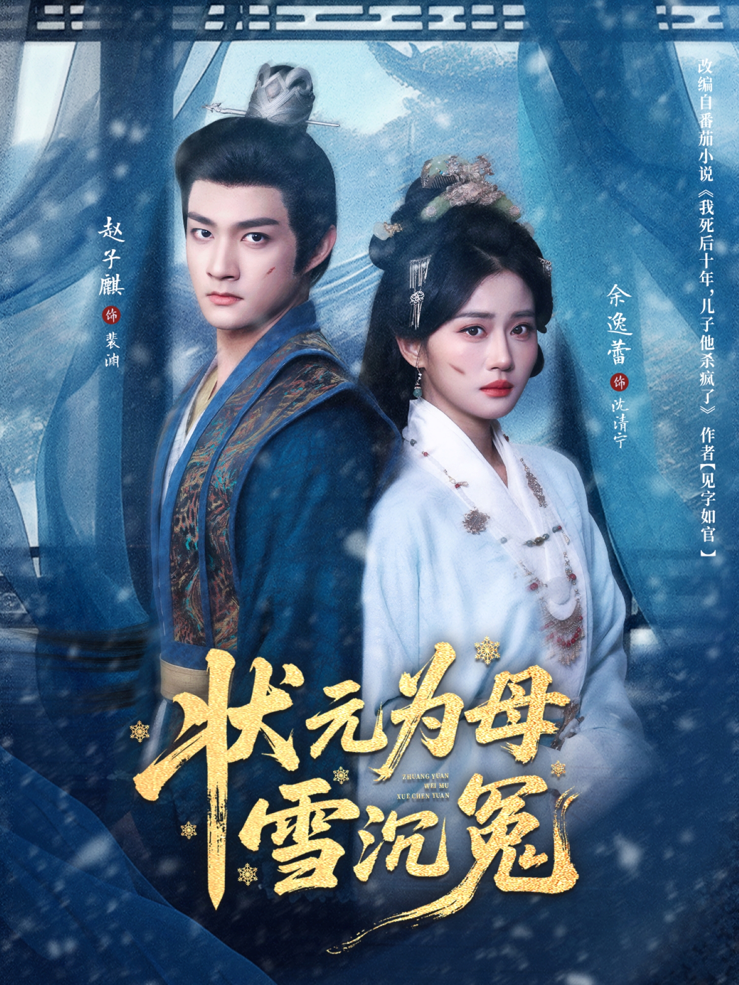 状元为母雪沉冤封面图