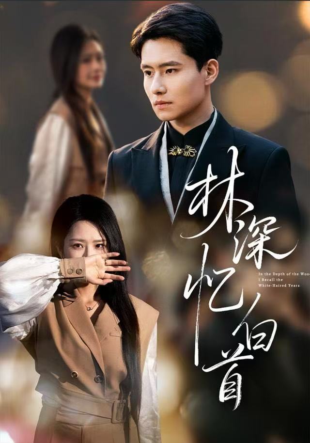 林深忆白首封面图