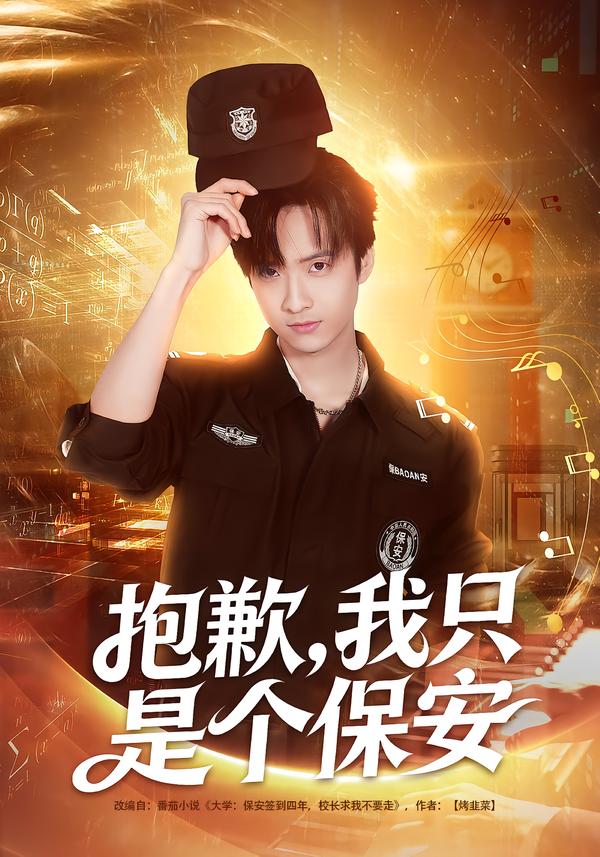 抱歉，我只是个保安