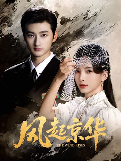 风起京华封面图