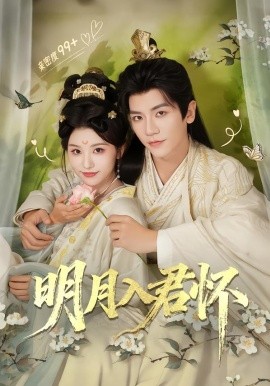 明月入君怀封面图