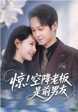 惊空降老板是前男友封面图