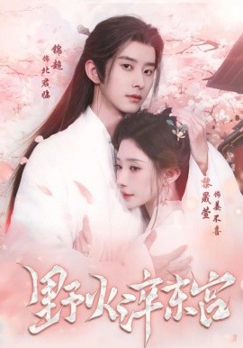 野火淬东宫封面图