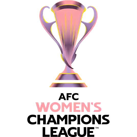 亚冠女足1:4决赛 日视东京绿茵美人女足VS内湖公马女足20260328封面图