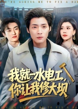 我就一水电工,你让我修大坝